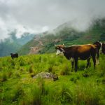 Gonzalo Zamorano – Portal Brasil dos cicloviajantes e Bikepacking cicloaventureiro (32)